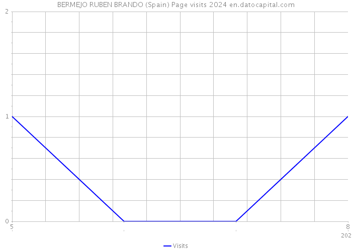 BERMEJO RUBEN BRANDO (Spain) Page visits 2024 