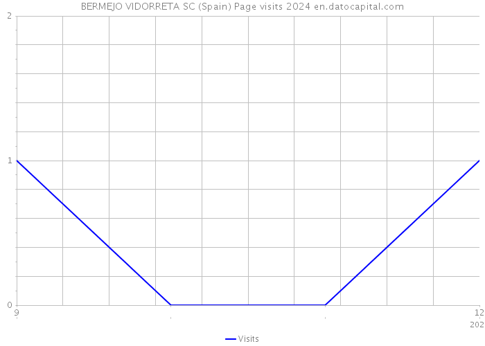 BERMEJO VIDORRETA SC (Spain) Page visits 2024 