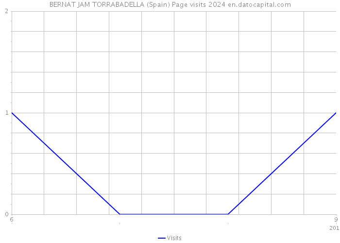 BERNAT JAM TORRABADELLA (Spain) Page visits 2024 