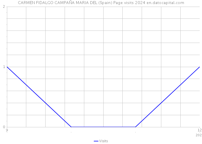 CARMEN FIDALGO CAMPAÑA MARIA DEL (Spain) Page visits 2024 