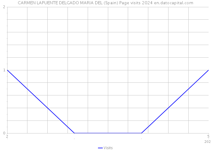CARMEN LAPUENTE DELGADO MARIA DEL (Spain) Page visits 2024 