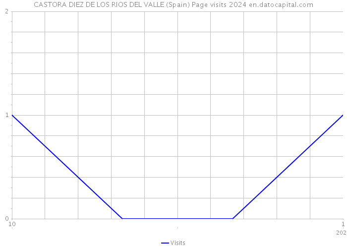 CASTORA DIEZ DE LOS RIOS DEL VALLE (Spain) Page visits 2024 