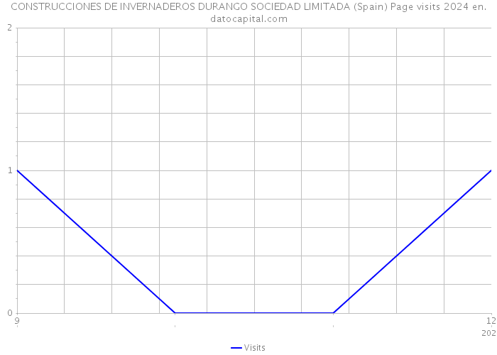 CONSTRUCCIONES DE INVERNADEROS DURANGO SOCIEDAD LIMITADA (Spain) Page visits 2024 