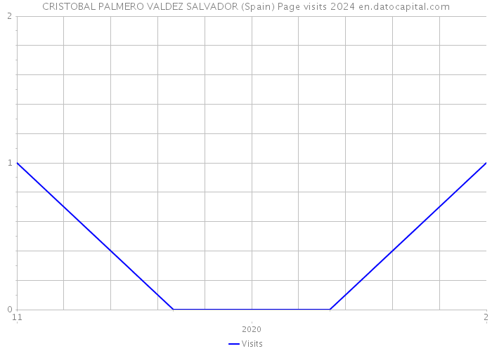 CRISTOBAL PALMERO VALDEZ SALVADOR (Spain) Page visits 2024 