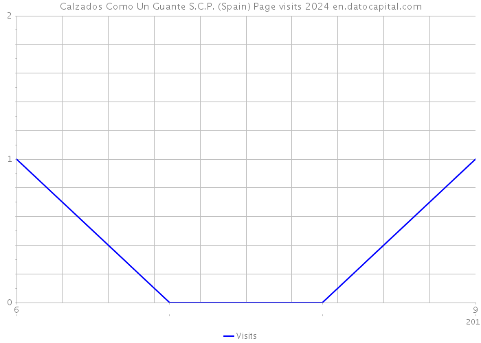 Calzados Como Un Guante S.C.P. (Spain) Page visits 2024 