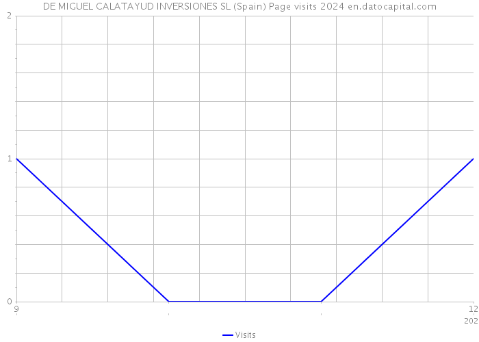 DE MIGUEL CALATAYUD INVERSIONES SL (Spain) Page visits 2024 