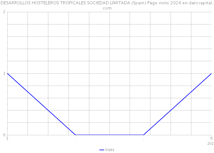 DESARROLLOS HOSTELEROS TROPICALES SOCIEDAD LIMITADA (Spain) Page visits 2024 