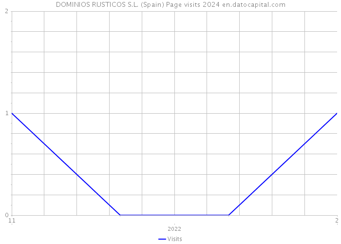 DOMINIOS RUSTICOS S.L. (Spain) Page visits 2024 