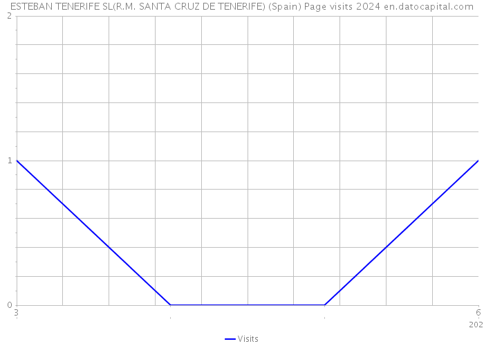 ESTEBAN TENERIFE SL(R.M. SANTA CRUZ DE TENERIFE) (Spain) Page visits 2024 