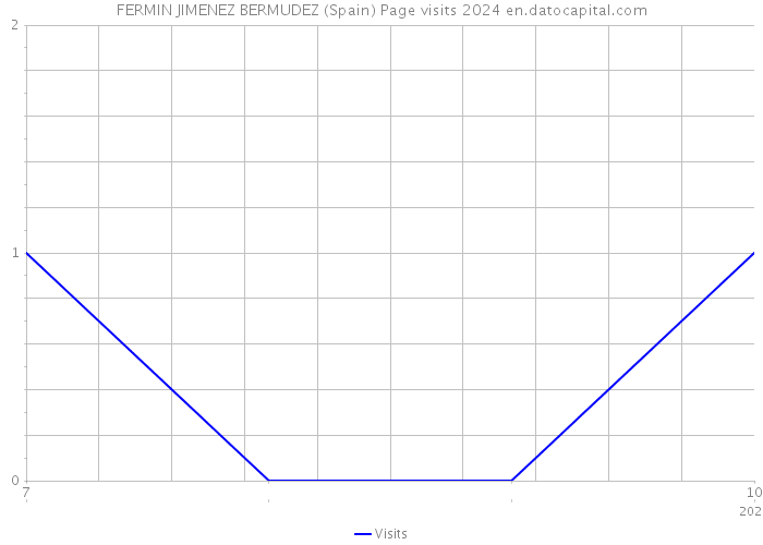 FERMIN JIMENEZ BERMUDEZ (Spain) Page visits 2024 