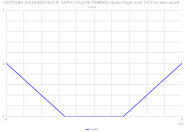 GESTIONES ANGULARES SL(R.M. SANTA CRUZ DE TENERIFE) (Spain) Page visits 2024 