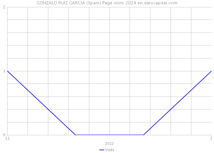 GONZALO RUIZ GARCIA (Spain) Page visits 2024 