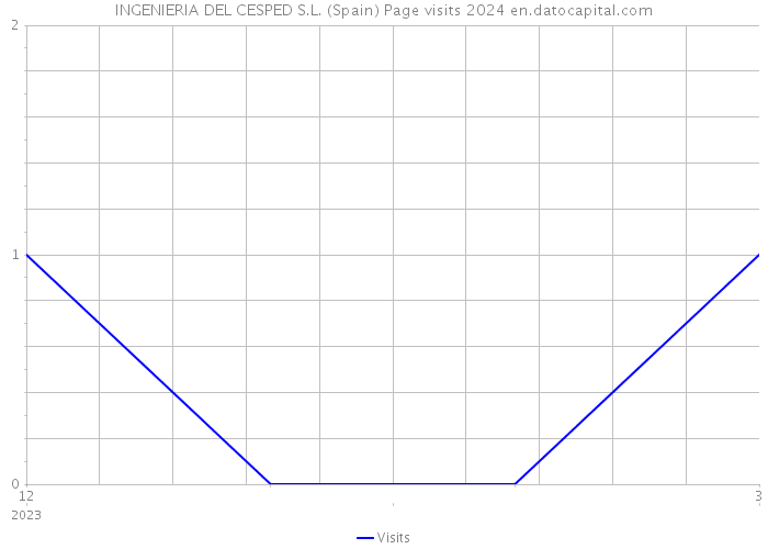 INGENIERIA DEL CESPED S.L. (Spain) Page visits 2024 