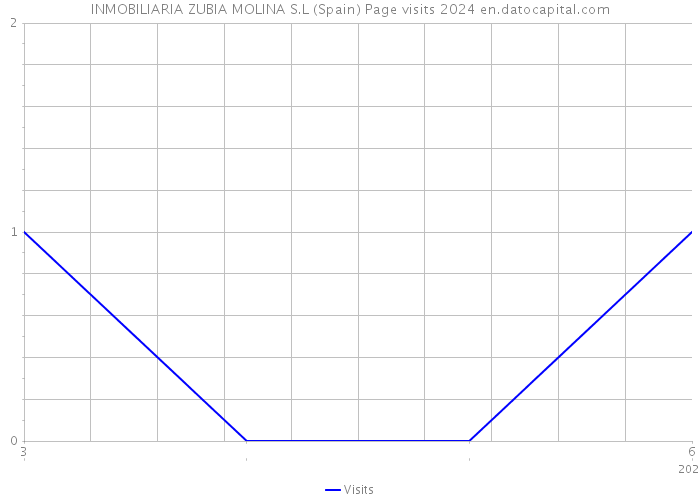 INMOBILIARIA ZUBIA MOLINA S.L (Spain) Page visits 2024 