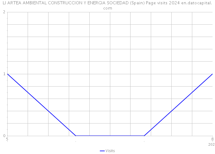 LI ARTEA AMBIENTAL CONSTRUCCION Y ENERGIA SOCIEDAD (Spain) Page visits 2024 
