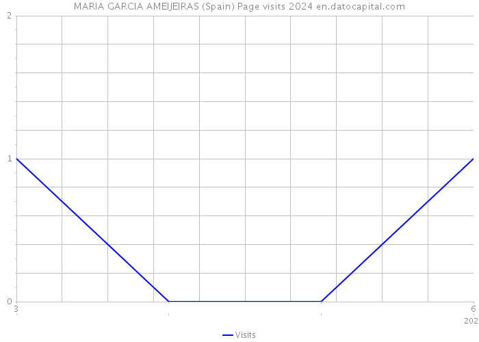 MARIA GARCIA AMEIJEIRAS (Spain) Page visits 2024 