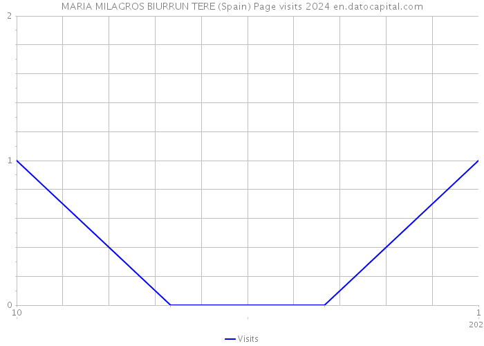 MARIA MILAGROS BIURRUN TERE (Spain) Page visits 2024 