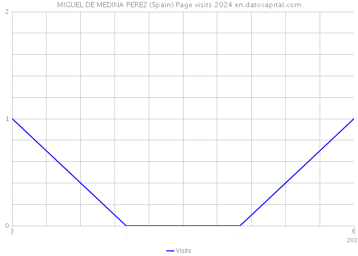 MIGUEL DE MEDINA PEREZ (Spain) Page visits 2024 