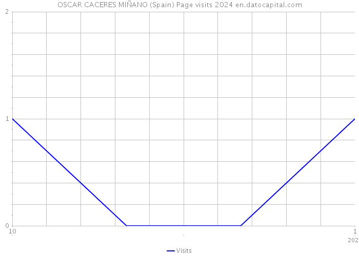 OSCAR CACERES MIÑANO (Spain) Page visits 2024 