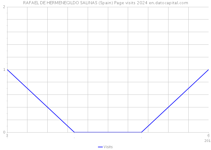 RAFAEL DE HERMENEGILDO SALINAS (Spain) Page visits 2024 