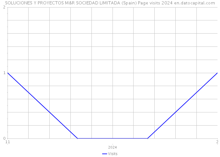 SOLUCIONES Y PROYECTOS M&R SOCIEDAD LIMITADA (Spain) Page visits 2024 