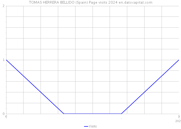 TOMAS HERRERA BELLIDO (Spain) Page visits 2024 