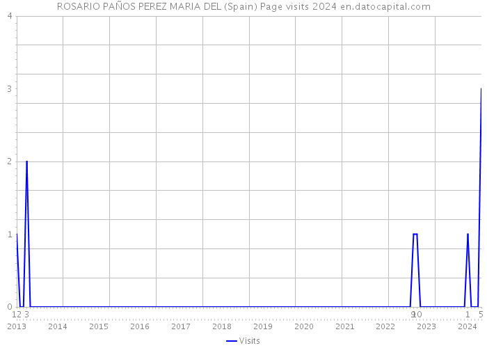 ROSARIO PAÑOS PEREZ MARIA DEL (Spain) Page visits 2024 