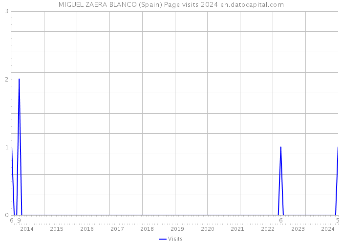 MIGUEL ZAERA BLANCO (Spain) Page visits 2024 