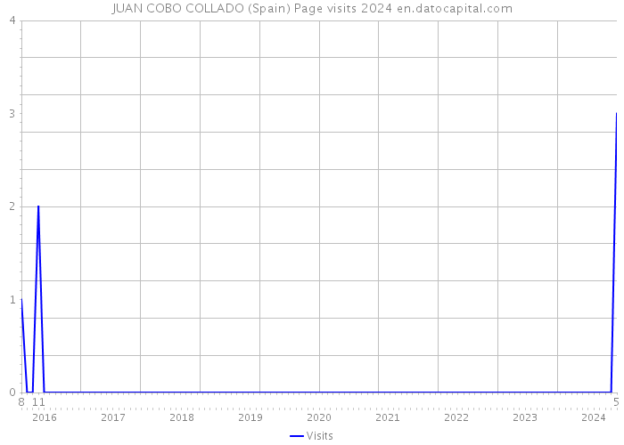 JUAN COBO COLLADO (Spain) Page visits 2024 