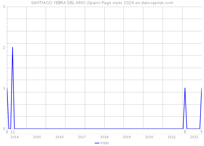 SANTIAGO YEBRA DEL AMO (Spain) Page visits 2024 