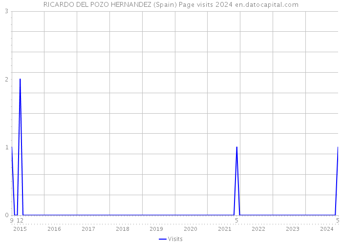 RICARDO DEL POZO HERNANDEZ (Spain) Page visits 2024 