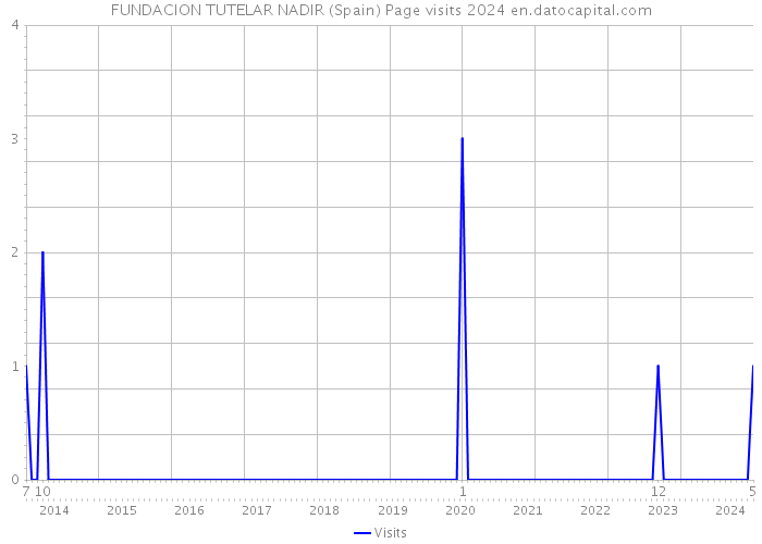 FUNDACION TUTELAR NADIR (Spain) Page visits 2024 