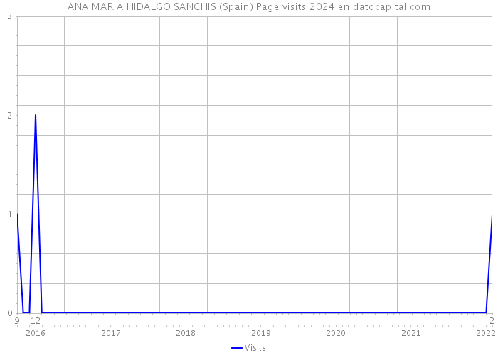 ANA MARIA HIDALGO SANCHIS (Spain) Page visits 2024 