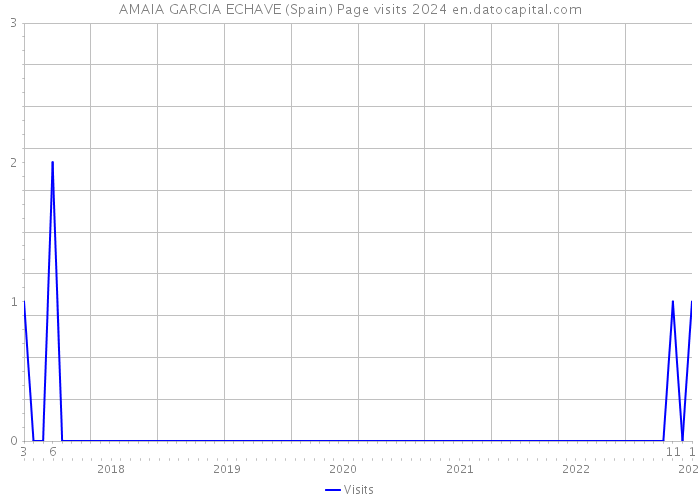 AMAIA GARCIA ECHAVE (Spain) Page visits 2024 
