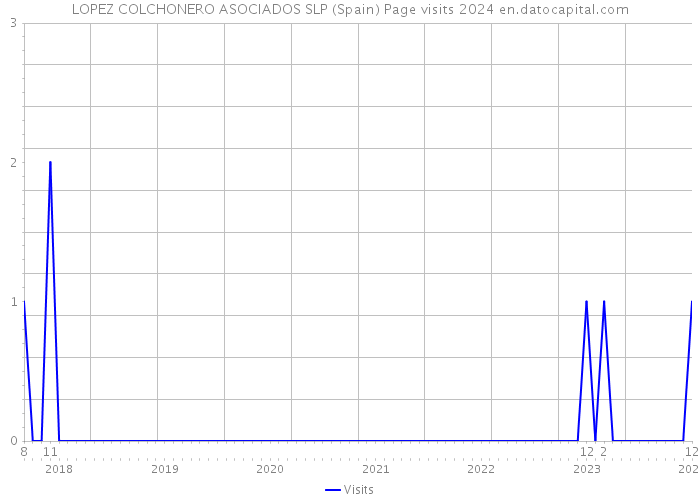 LOPEZ COLCHONERO ASOCIADOS SLP (Spain) Page visits 2024 