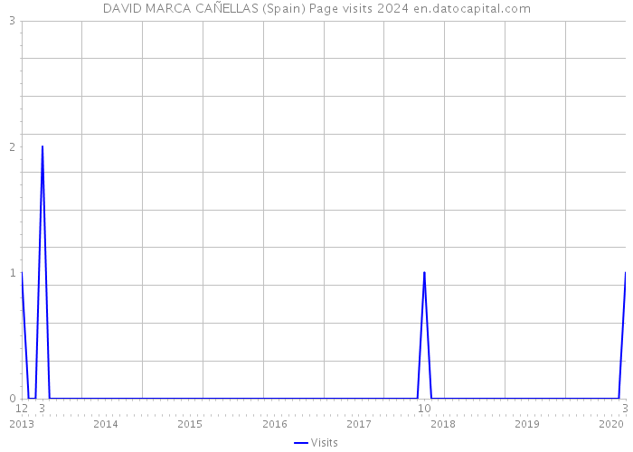 DAVID MARCA CAÑELLAS (Spain) Page visits 2024 