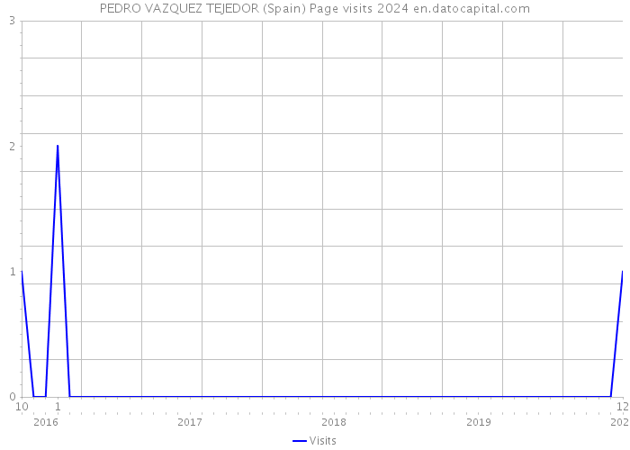 PEDRO VAZQUEZ TEJEDOR (Spain) Page visits 2024 