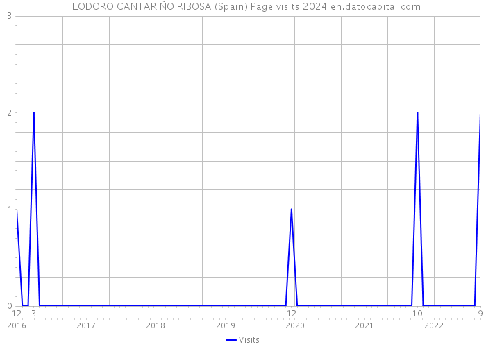 TEODORO CANTARIÑO RIBOSA (Spain) Page visits 2024 
