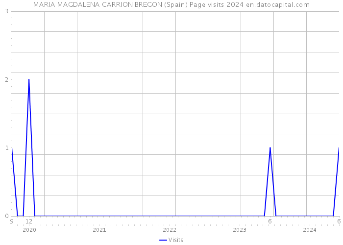 MARIA MAGDALENA CARRION BREGON (Spain) Page visits 2024 