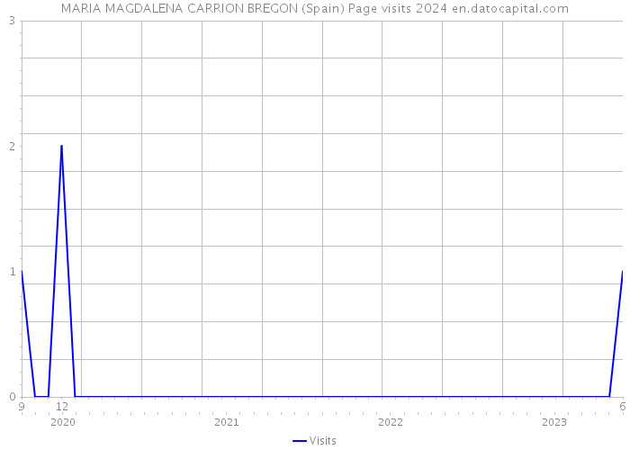 MARIA MAGDALENA CARRION BREGON (Spain) Page visits 2024 