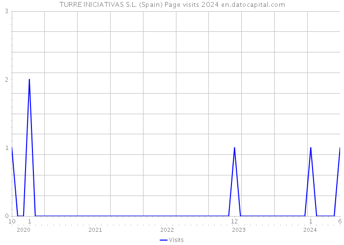 TURRE INICIATIVAS S.L. (Spain) Page visits 2024 