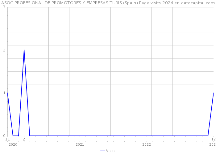 ASOC PROFESIONAL DE PROMOTORES Y EMPRESAS TURIS (Spain) Page visits 2024 