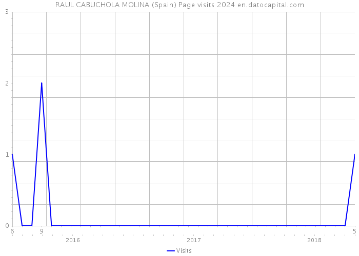 RAUL CABUCHOLA MOLINA (Spain) Page visits 2024 