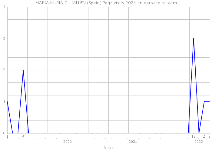 MARIA NURIA GIL VILLEN (Spain) Page visits 2024 