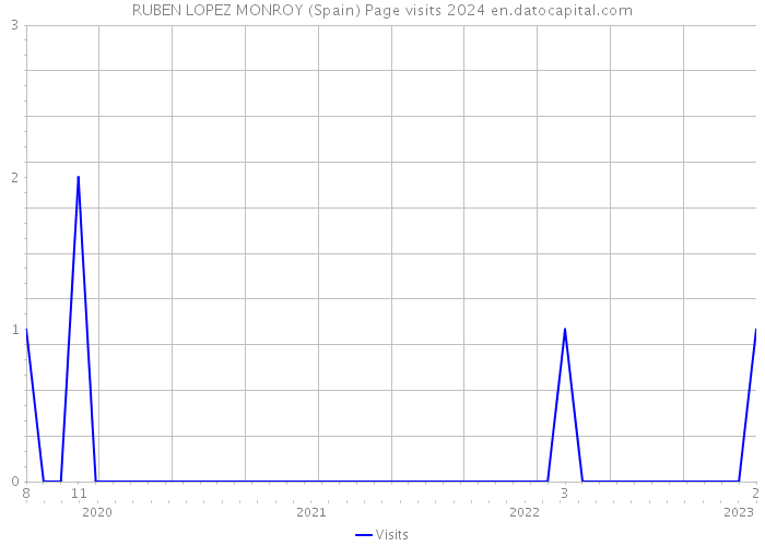 RUBEN LOPEZ MONROY (Spain) Page visits 2024 