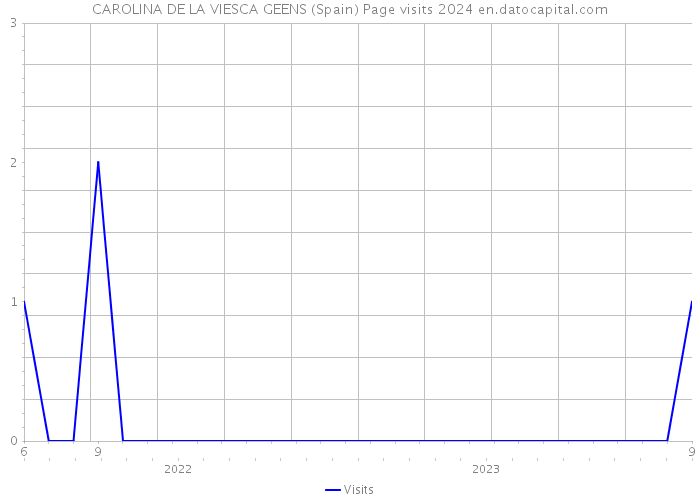 CAROLINA DE LA VIESCA GEENS (Spain) Page visits 2024 