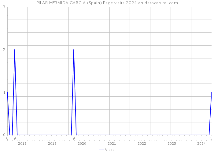 PILAR HERMIDA GARCIA (Spain) Page visits 2024 
