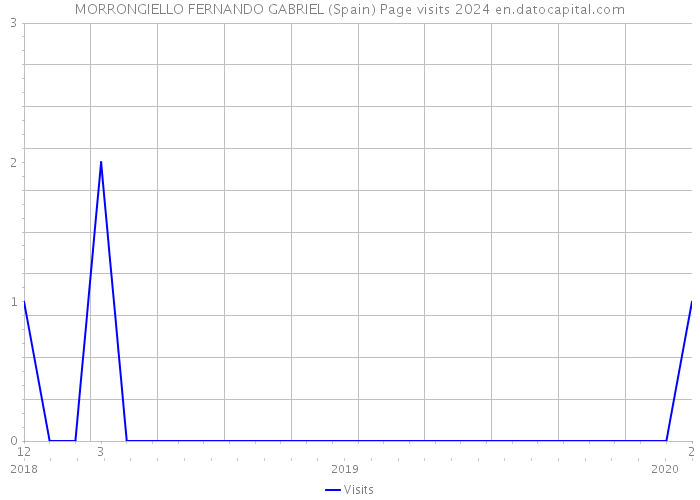 MORRONGIELLO FERNANDO GABRIEL (Spain) Page visits 2024 