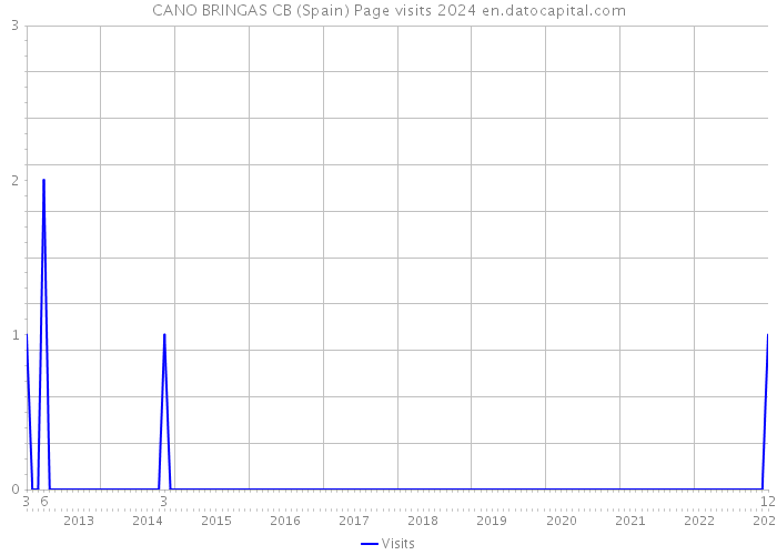 CANO BRINGAS CB (Spain) Page visits 2024 