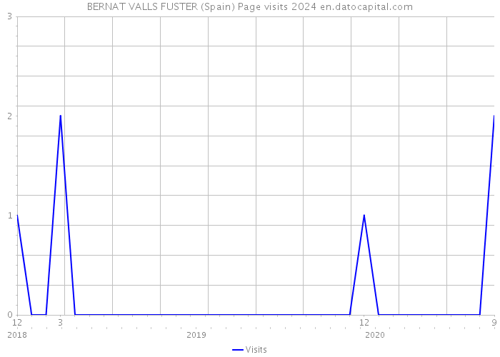 BERNAT VALLS FUSTER (Spain) Page visits 2024 